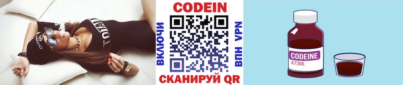 МЕГА ссылка  Ядрин  Codein напиток Lean (лин)  купить наркотики цена 
