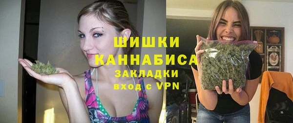 индика Краснослободск