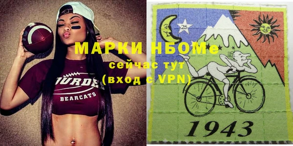 индика Краснослободск