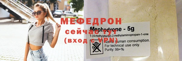 индика Краснослободск