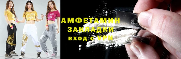 индика Краснослободск