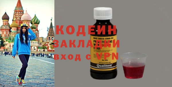 индика Краснослободск