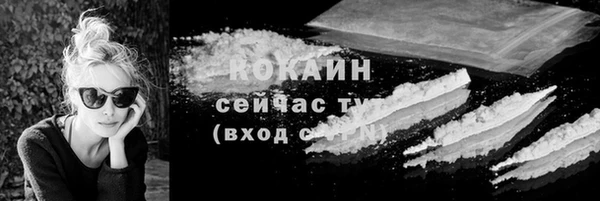 индика Краснослободск