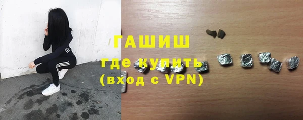 индика Краснослободск