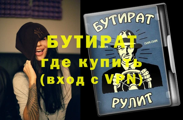 индика Краснослободск