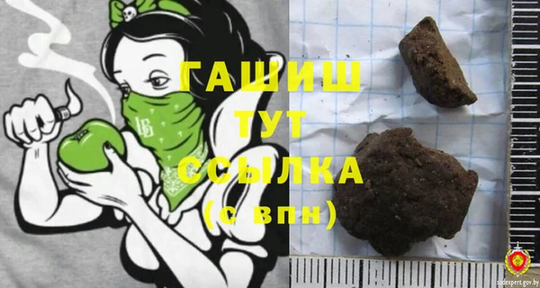 индика Краснослободск