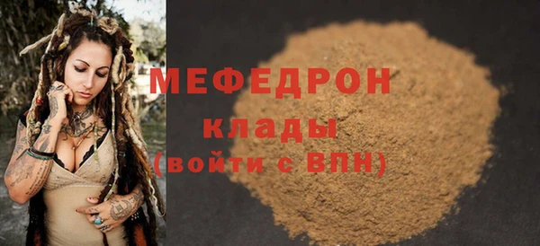 индика Краснослободск