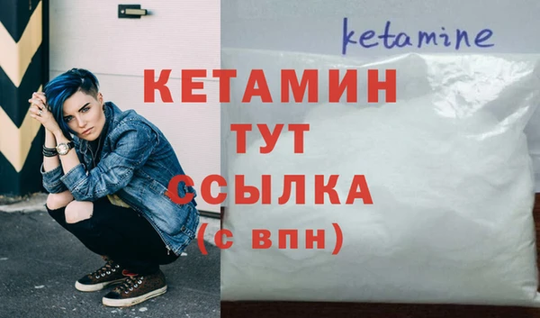 индика Краснослободск