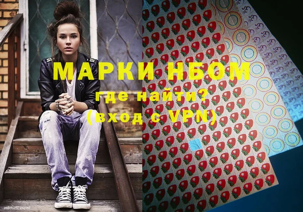индика Краснослободск