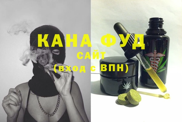 индика Краснослободск