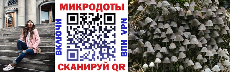 Псилоцибиновые грибы ЛСД  продажа наркотиков  Ядрин 